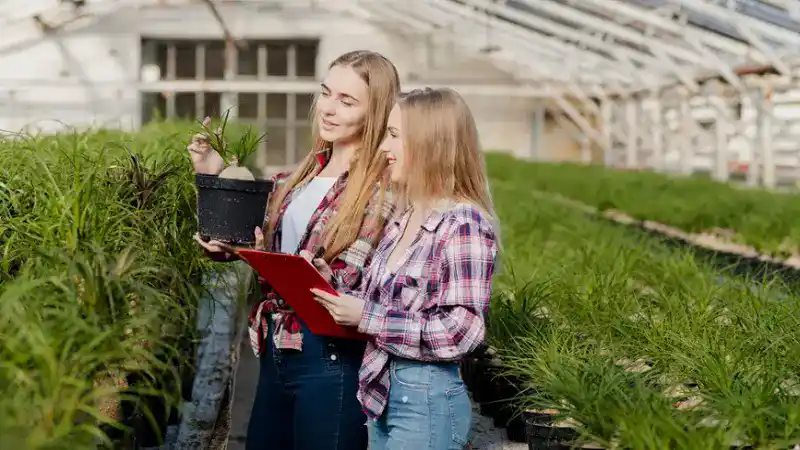 Inorganic Fertilizers